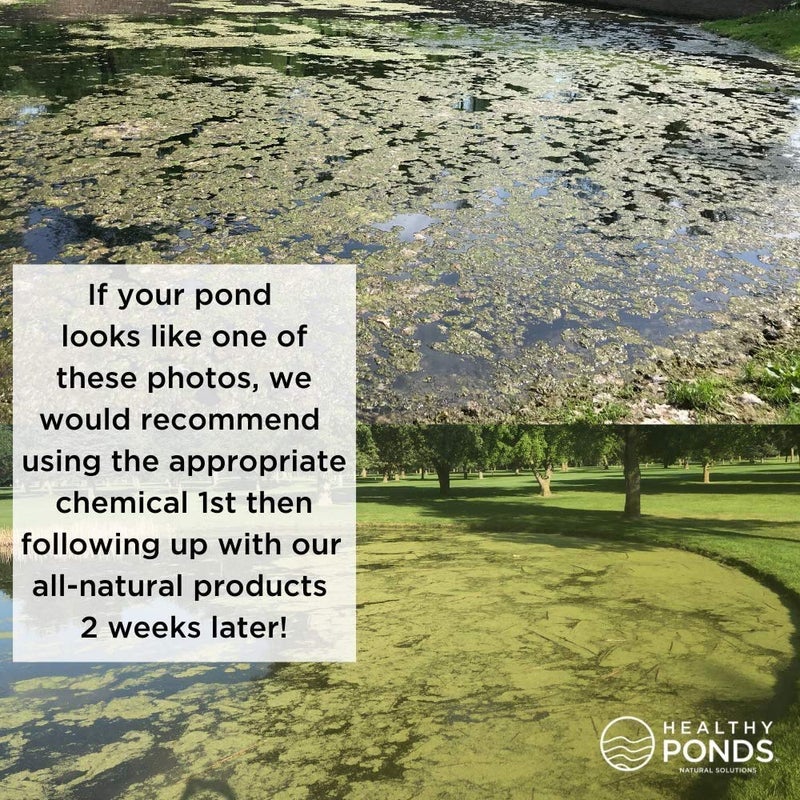 Healthy Ponds علاج بركة صحي من هيلثي بوندز أكواسفير برو القابل للتحلل، يعالج حتى 1,000,000 جالون - Image 4